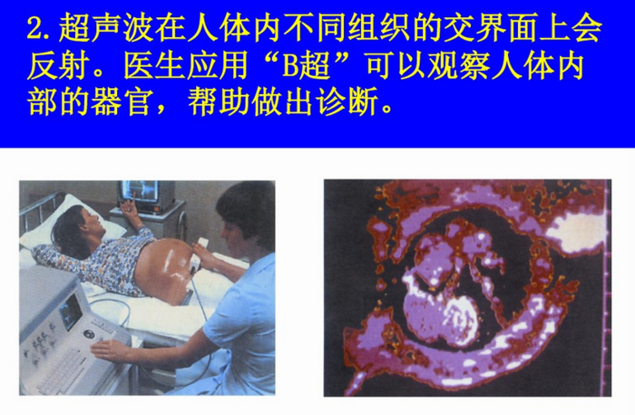 恒波生物科技(恒波生物科技股票代码)